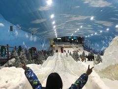 -世界之窗阿尔卑斯冰雪世界