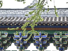 -成都市文殊院