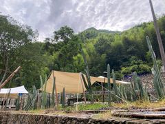 -MOJ coffee(瓯海泽雅水碓坑店)