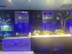 -云顶旋转自助景观餐厅