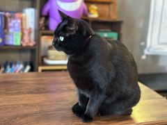 -店溡三(御华名苑愚园路1221弄店)