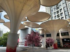 -珠海拱北口岸智选假日酒店