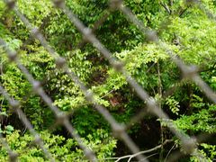 -敬亭山风景名胜区