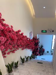 -海涛医疗美容·面部抗衰·注射美鼻