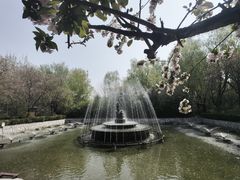 -潇湘甲鱼村(清河店)