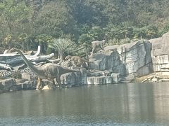 -南京银杏湖乐园