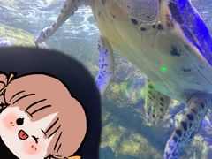 -太平洋海底世界