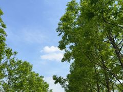 -嘉北郊野公园