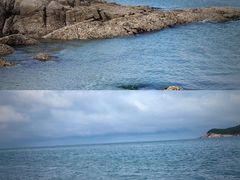 -海源公园