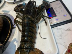 -半岛听涛蒸汽海鲜自助(K11店)