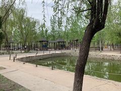 -杨柳青庄园