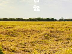 -嘉北郊野公园