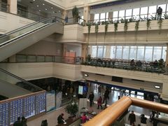 -上海市东方医院(总院)