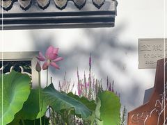 -杭州植物园