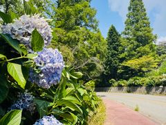 -神户市立六甲山牧场