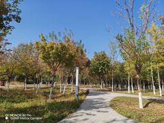 -永定河休闲森林公园