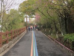 -杭州半山国家森林公园