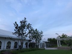 -南通滨江洲际酒店-东厨中餐厅