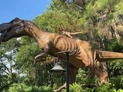 -森波拉奇妙世界