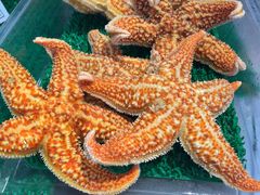 -今鲜源大酒店·中华餐饮名店(新湛路店)