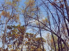 -帽儿山国家森林公园