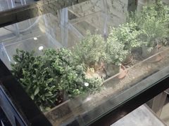 -小巷餐厅(五大街店)