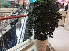 -高新活力汇Vitality