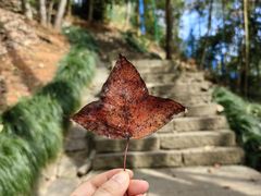 -灵栖洞天