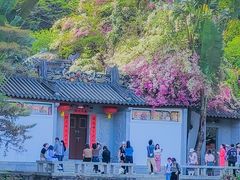 -深圳国际园林花卉博览园