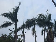 -台北故宫博物院