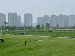 -洋湖国家湿地公园