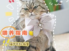 -纳吉亚猫专科动物诊疗中心(蒋宅口分院)