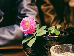 -茶是一枝花泡茶店