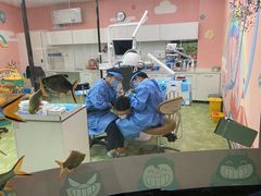 -牙博士口腔品牌连锁(杨浦店)