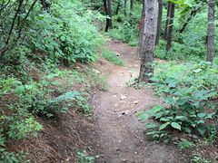-北京十三陵国家森林公园蟒山景区