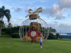-三亚亚龙湾天域度假酒店