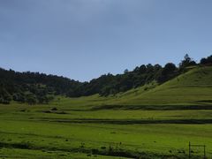 -关山草原