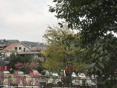 -老幺泉水鸡