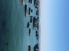 -海源公园