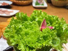 -尚海豆捞(乐虹坊店)