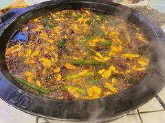 -费明中罗非鱼(大石坝店)
