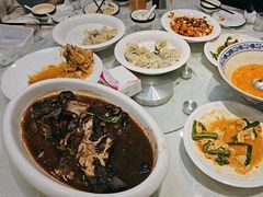 -邵年鸽(杨庄店)