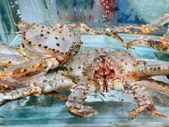 -海逸海鲜酒家(古北店)