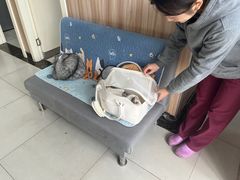 -瑞鹏宠物医院·内科·中兽医·骨科(苗圃店)