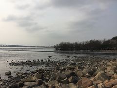 -宝安西湾红树林湿地公园