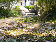 -扬州瘦西湖汇金酒店