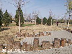 -马家湾湿地公园