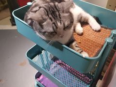 -小时光咖啡馆(开森度假森林店)