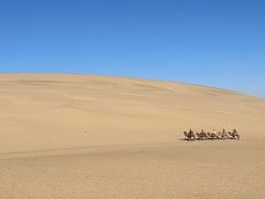 -玉龙沙湖景区
