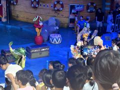 -烟台海昌鲸鲨海洋公园